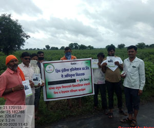 dripindia